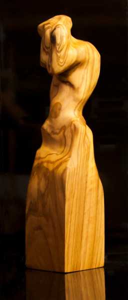 Sculpture titled "Energy Lines" by Przemek Kret, Original Artwork, Wood
