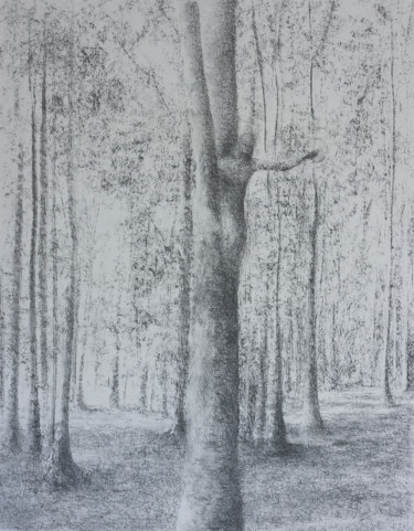 Dessin intitulée "The Tree Shepherd" par Przemek Kret, Œuvre d'art originale, Fusain