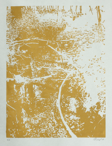 Отпечатки и Гравюры под названием "Tiveden" - Przemek Kret, Подлинное произведение искусства, Линогравюры