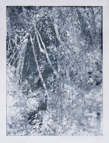 Gravures & estampes intitulée "Translucent" par Przemek Kret, Œuvre d'art originale, Monotype