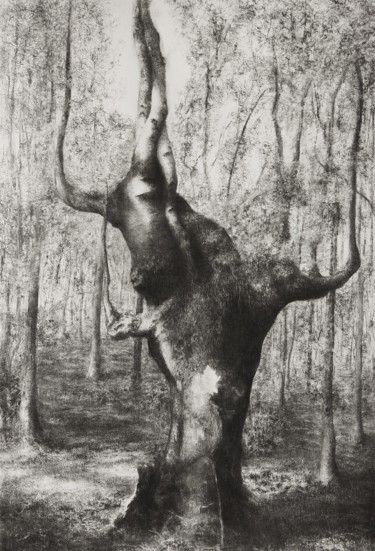 Rysunek zatytułowany „Majestic” autorstwa Przemek Kret, Oryginalna praca, Węgiel drzewny