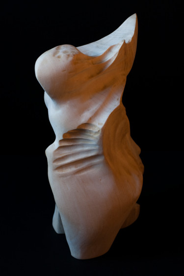 Escultura intitulada "Northern Wind" por Przemek Kret, Obras de arte originais, Madeira