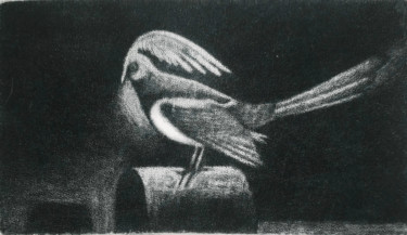 Gravures & estampes intitulée "The shirdwing" par Vjacheslav Illjashenko, Œuvre d'art originale, Eau-forte
