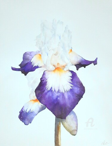 Ζωγραφική με τίτλο "Iris violet." από Philippe Vidal, Αυθεντικά έργα τέχνης, Ακουαρέλα