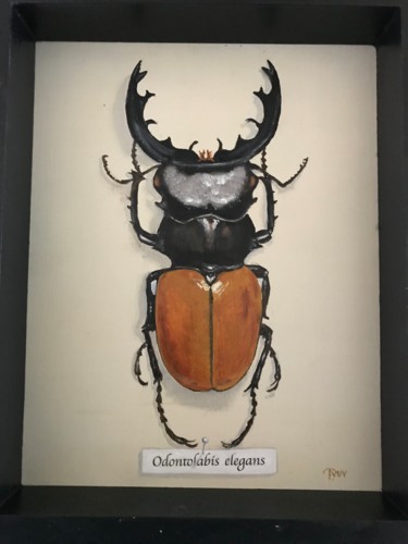 Painting titled "Beetle" by Steven Pynn, Original Artwork, Oil