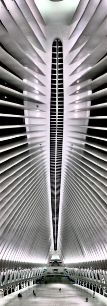 Fotografía titulada "The Oculus NYC (Pan…" por J.A. Quattro (Qu4ttroStudio), Obra de arte original, Fotografía no manipulada
