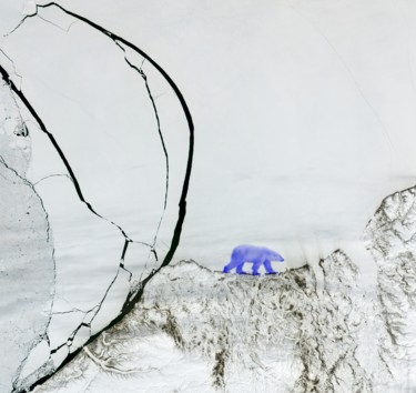 Photographie intitulée "arctic-103x109.jpg" par J. Janquel, Œuvre d'art originale