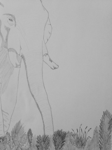Dessin intitulée "Éléphant" par Quentin Lenoir, Œuvre d'art originale, Crayon