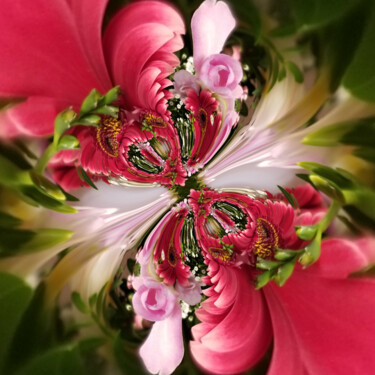 Photography titled "Red flowers" by Fabrice Quignette, Original Artwork, Digital Photography