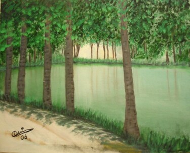 Painting titled "laguna de riopar (o…" by Quin, Original Artwork, Oil