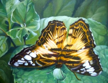 Peinture intitulée "papillon 1" par R Pin, Œuvre d'art originale, Huile