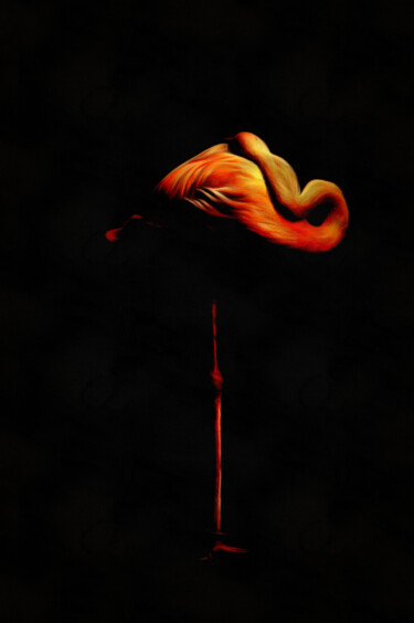 Arts numériques intitulée "flamingo 1 - flamant" par R.W.Born, Œuvre d'art originale, Photographie manipulée