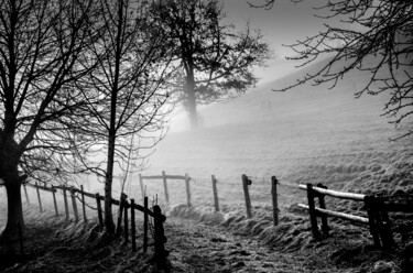 Fotografia intitolato "a foggy morning" da R.W.Born, Opera d'arte originale, Fotografia digitale