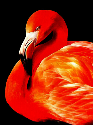 Photography titled "Flamingo 2  flamant" by R.W.Born, Original Artwork, Digital Photography