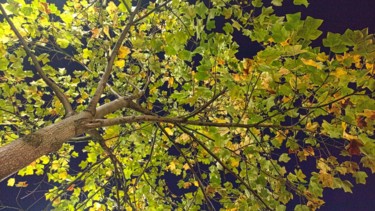 Photographie intitulée "Bright Green tree a…" par Rahul, Œuvre d'art originale, Photographie numérique