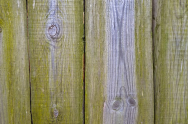 Φωτογραφία με τίτλο "Old hedge made of b…" από Art$Art, Αυθεντικά έργα τέχνης, Ψηφιακή φωτογραφία