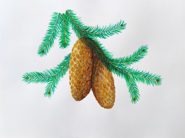 Картина под названием "Spruce branch with…" - Art$Art, Подлинное произведение искусства, Акварель
