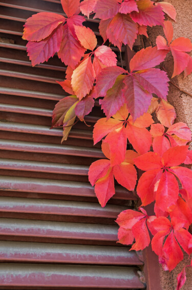 Photographie intitulée "Autumn colors of le…" par Art$Art, Œuvre d'art originale, Photographie numérique