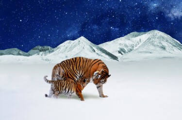 Digital Arts titled "Tigers in the mount…" by Radiy Bohem, Original Artwork, 2D Digital Work