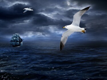 Arts numériques intitulée "Seagull over the oc…" par Radiy Bohem, Œuvre d'art originale, Peinture numérique