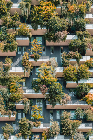 Фотография под названием "Vertical Forest In…" - Radu Bercan, Подлинное произведение искусства, Цифровая фотография