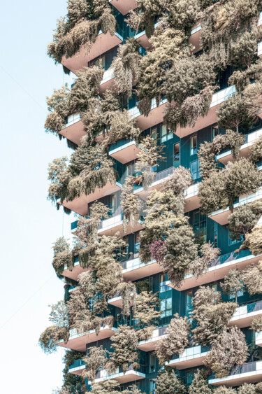 Photographie intitulée "Vertical Forest, Bo…" par Radu Bercan, Œuvre d'art originale, Photographie numérique