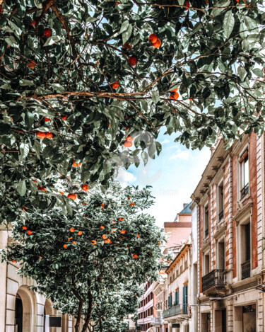 "Orange Tree, Orange…" başlıklı Fotoğraf Radu Bercan tarafından, Orijinal sanat, Dijital Fotoğrafçılık