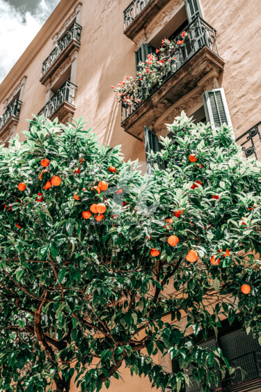 Fotografia intitolato "Orange Fruit Tree P…" da Radu Bercan, Opera d'arte originale, Fotografia digitale