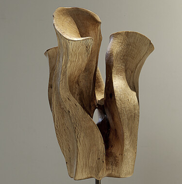 Sculpture titled "Divergencia Orgánic…" by Rafa Marinas, Original Artwork, Wood