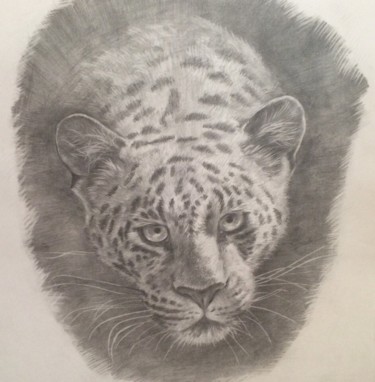Drawing titled "Leopard" by Constantine, Original Artwork, Pencil