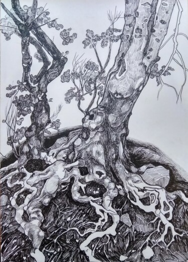 Disegno intitolato "''Roots''1" da Raffi Ghazaryan, Opera d'arte originale, Penna gel