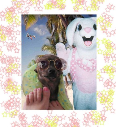 Digital Arts titled "Sissy Beach Bunny" by Miss Rachael, Original Artwork