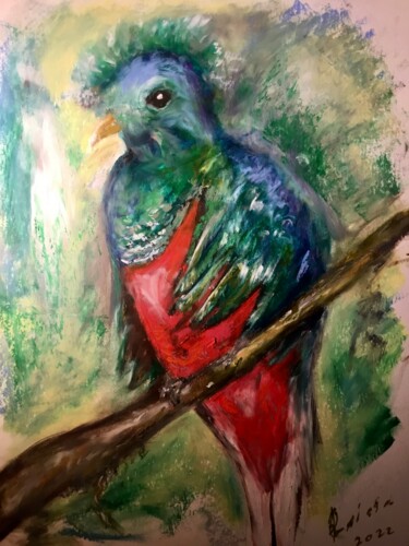 Peinture intitulée "Quetzal bird origin…" par Raissa Kagan, Œuvre d'art originale, Pastel