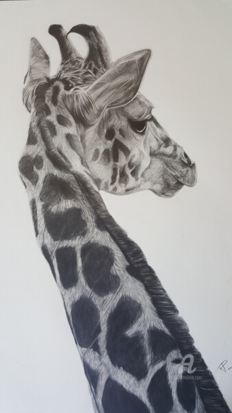Drawing titled "My lovely giraffe" by Raissa Levati Pelegrim, Original Artwork, Graphite