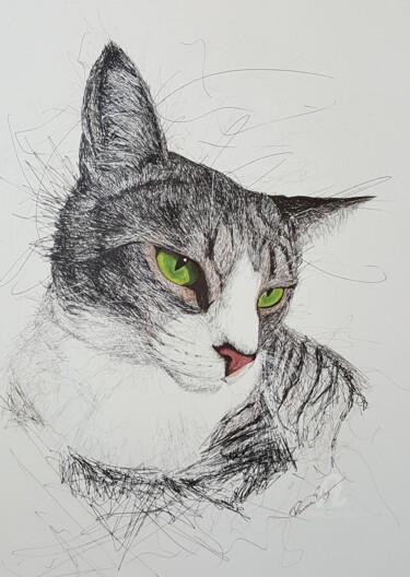 Drawing titled "Max the cat" by Raissa Levati Pelegrim, Original Artwork, Ballpoint pen
