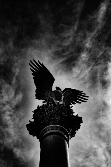 Fotografia intitolato "Grand aigle impéria…" da Rami Chlela, Opera d'arte originale, Fotografia digitale