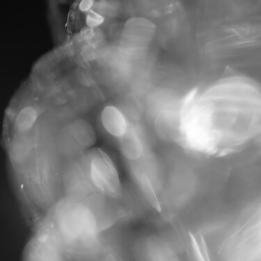 Photographie intitulée "Flou artistique, ph…" par Rami El Biaine, Œuvre d'art originale, Photographie numérique