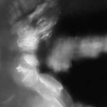 Fotografía titulada "Flou artistique, ph…" por Rami El Biaine, Obra de arte original, Fotografía digital