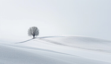 "Winter landcsape" başlıklı Dijital Sanat Ramona Gliga tarafından, Orijinal sanat, Dijital Kolaj