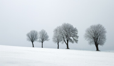 Digital Arts titled "Winter landcsape 1" by Ramona Gliga, Original Artwork, Digital Collage