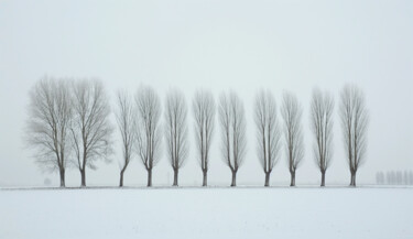 Цифровое искусство под названием "Winter landcsape 3" - Ramona Gliga, Подлинное произведение искусства, Цифровой коллаж