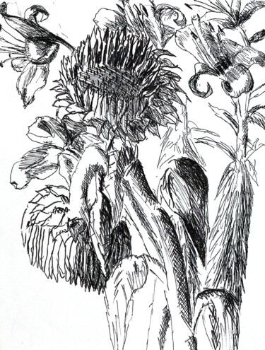 Drawing titled "sunflowers drawings…" by Raphael Perez (Israeli painter artist), Original Artwork, Ballpoint pen