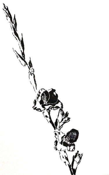 Рисунок под названием "gladiolus drawings…" - Raphael Perez, Подлинное произведение искусства, Чернила