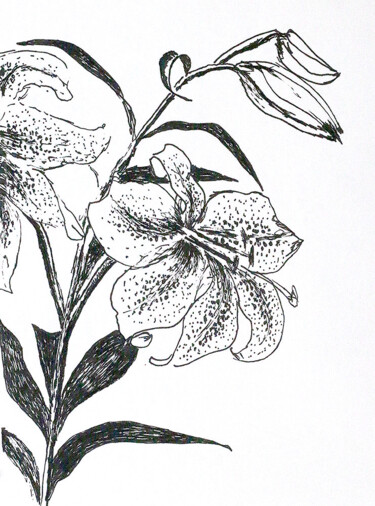 제목이 "lili flower art dra…"인 그림 Raphael Perez로, 원작, 잉크