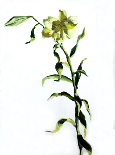 Schilderij getiteld "White lily oil pain…" door Raphael Perez, Origineel Kunstwerk, Olie