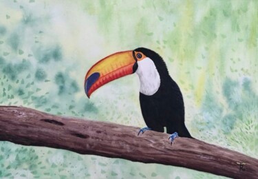 绘画 标题为“Le Toucan” 由Raphaëlle Barolo, 原创艺术品, 水彩