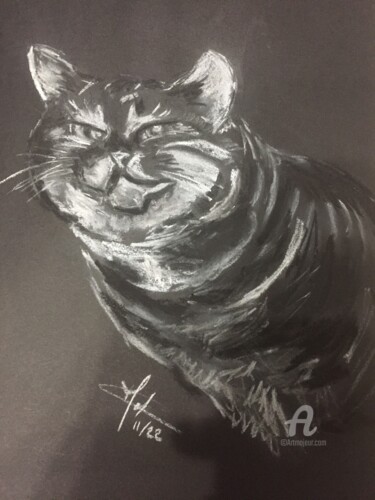 Desenho intitulada "Le chat" por Christel, Obras de arte originais, Pastel Montado em artwork_cat.