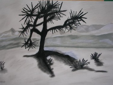 Dessin intitulée "Joshua tree" par Florence, Œuvre d'art originale