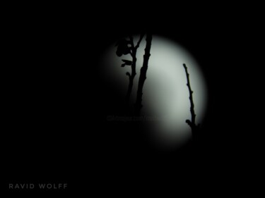 Photographie intitulée "Lunar eclipse" par Ravid Wolff, Œuvre d'art originale, Photographie numérique