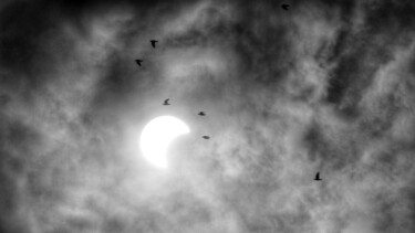 「partail solar eclip…」というタイトルの写真撮影 Ravid Wolffによって, オリジナルのアートワーク, デジタル